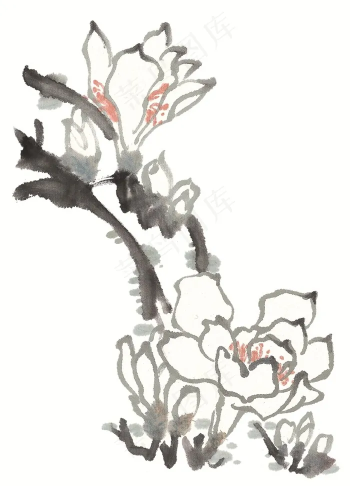 花卉大图素材