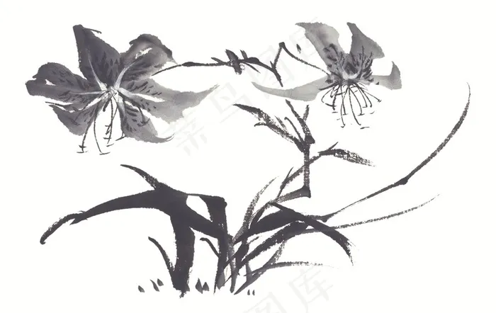 花卉绘画美图素材