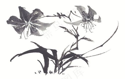 花卉绘画美图素材