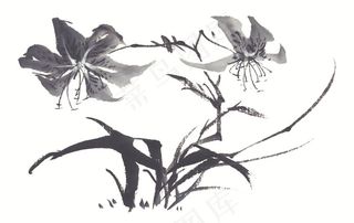 花卉绘画美图素材