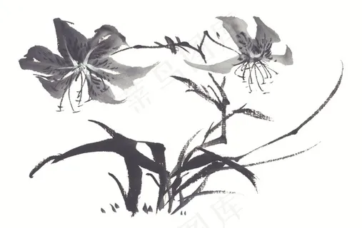 花卉绘画美图素材 花卉绘画美图素材