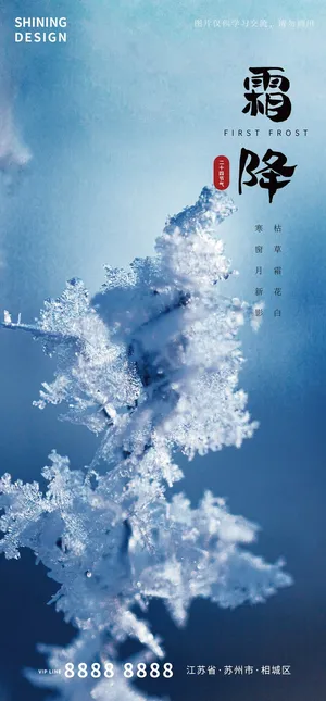 高清深秋雾凇霜降海报