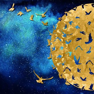 金色小鸟蓝色背景装饰画