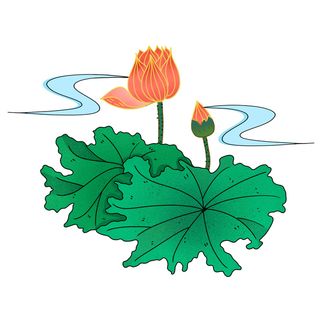 国潮中国风手绘荷花莲花荷叶莲藕植物花卉装饰插画PSD设计素材