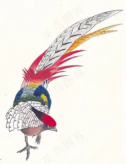 国画鸟设计图片素材 国画鸟设计图片素材