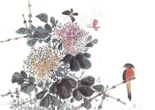 国画富贵鸟系列美图素材