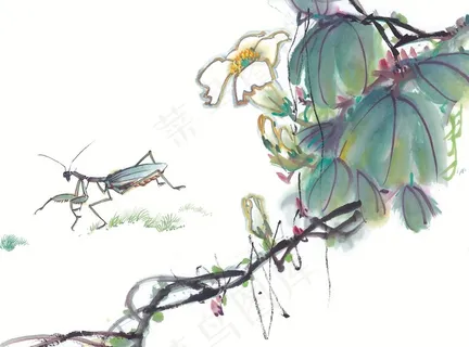 昆虫花草国画图片摄影图片 昆虫花草国画图片摄影图片