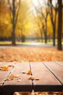 秋天的落叶落在公园*的一张木凳上摄影图