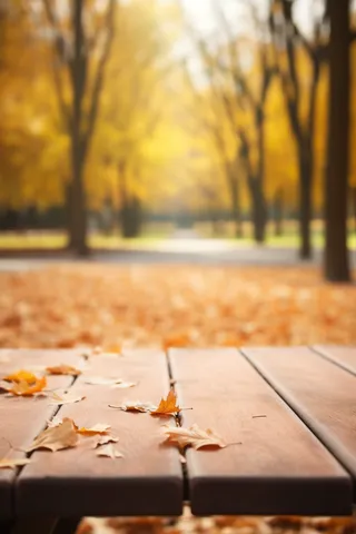 秋天的落叶落在公园*的一张木凳上摄影图