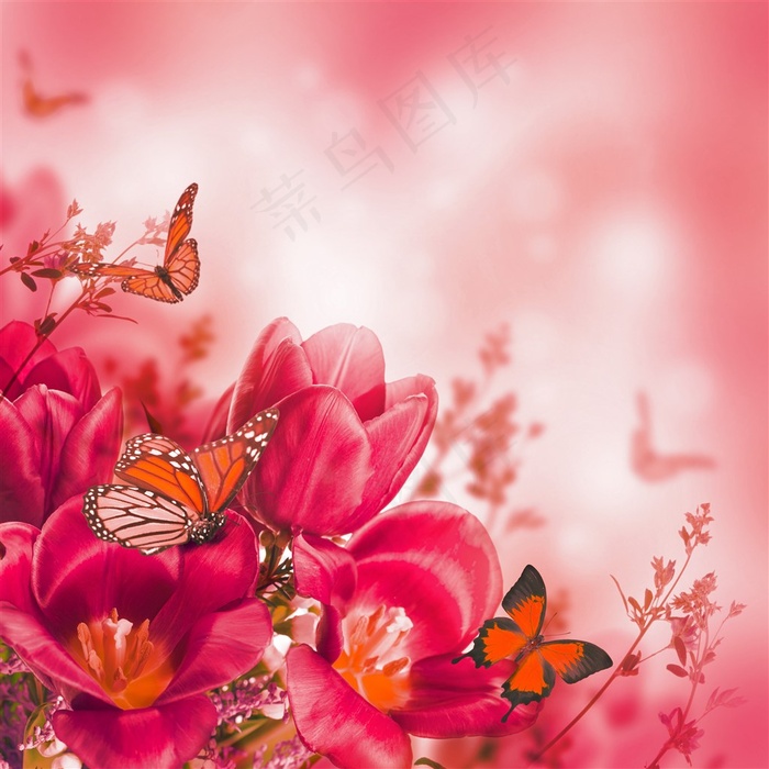 唯美红色花朵蝴蝶图片