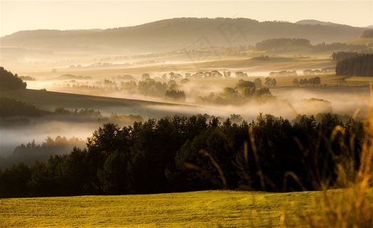 草地树林风光风景图片