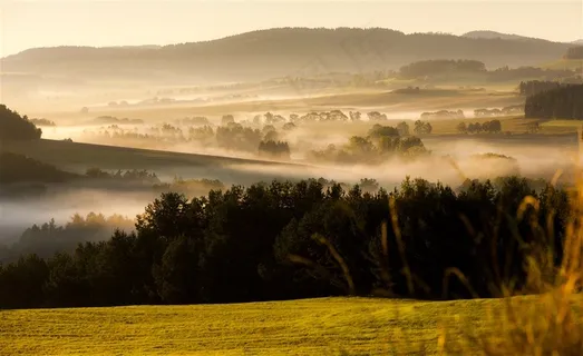 草地树林风光风景图片