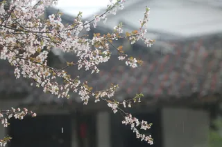 风景|摄影|高清|原创|山水