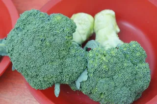 营养西兰花蔬菜图片