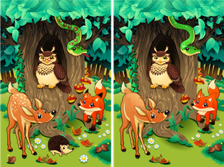 卡通林子与动物