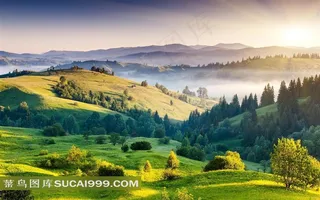 开阔的森林草原风景图