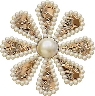 珍珠制品现代农业