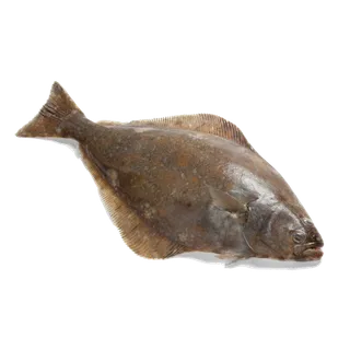 鱼类(10)海鲜超市商品红酒白底图免抠实物摄影png格式图片透明底