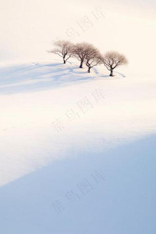 大雪简约雪景白雪浪漫节气海报背景