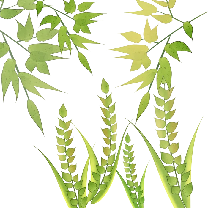 唯美二十四节气夏季插画元素