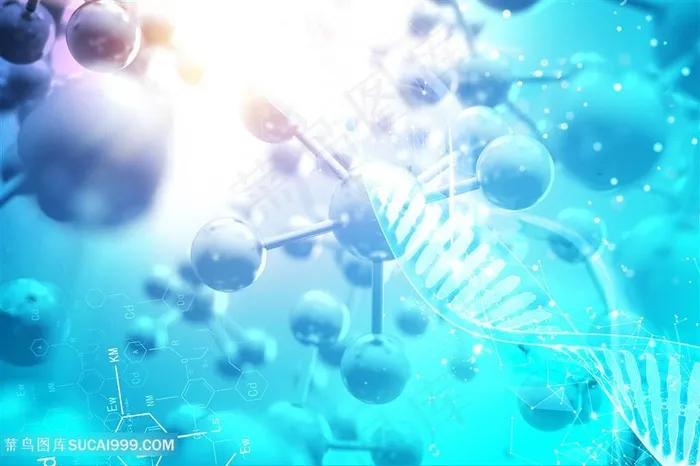 分子与DNA结构