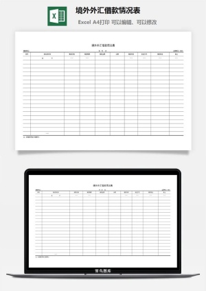 *外汇借款情况表excel模板