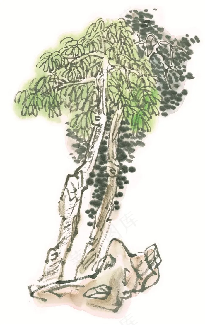 古树工笔国画jpg素材