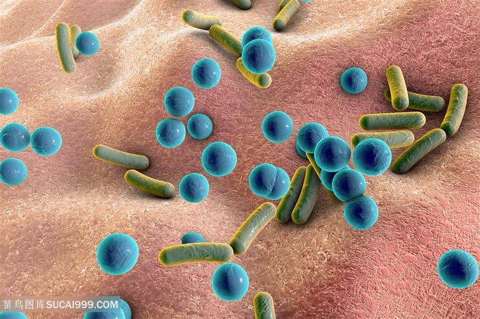 细菌病毒生物研究高清图