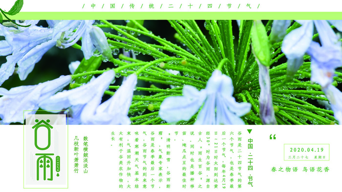 谷雨二十四节气海报设计