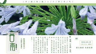 谷雨二十四节气海报设计