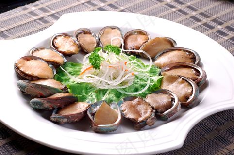 HQ-685野生鲍鱼仔