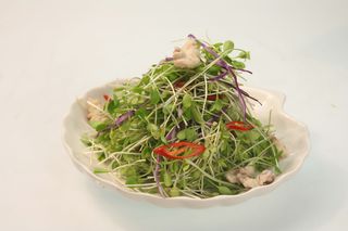 7春芽核桃仁  定州通达