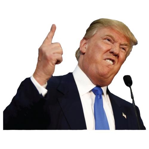唐纳德特朗普 PNG免抠(500x500)