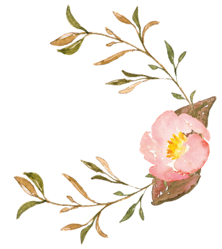 唯美森系手绘水彩花朵 免抠