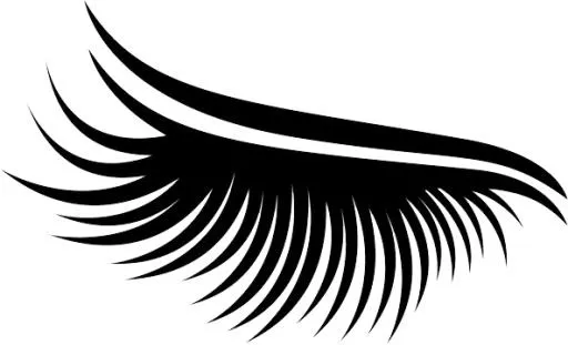 睫毛 PNG免抠(593x361)