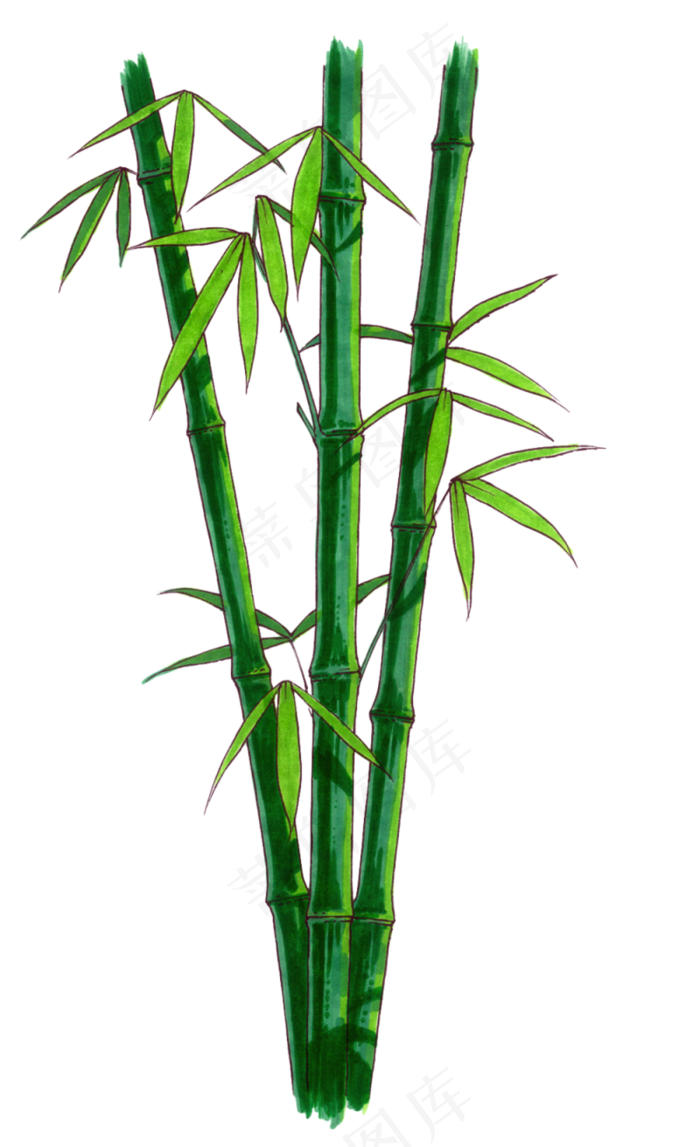 PNG 绿色竹子 