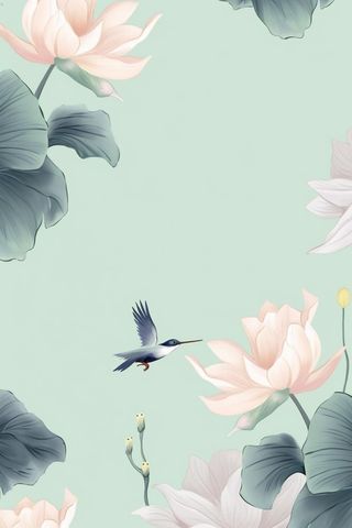 创意简约节气荷花背景