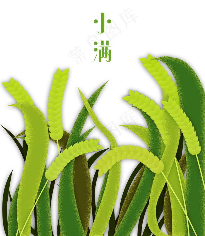 小满节气卡通图片 