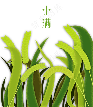 小满节气卡通图片 