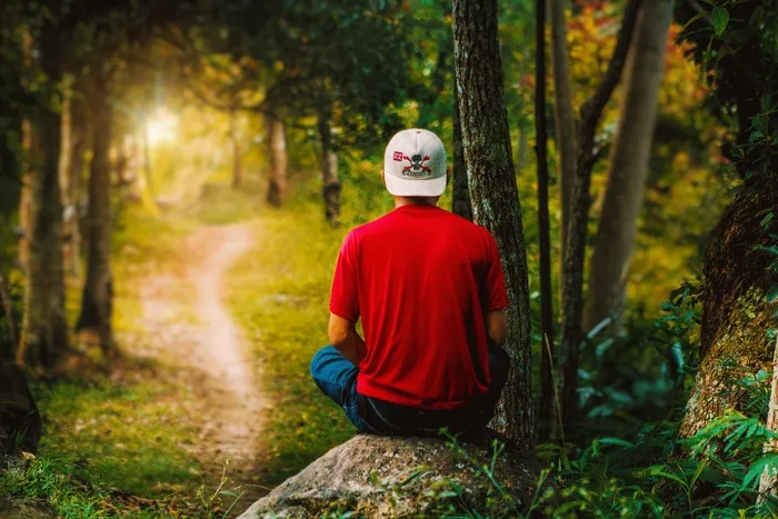 树林帅哥背影图片