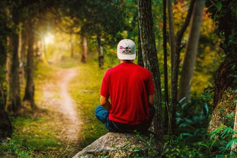 树林帅哥背影图片