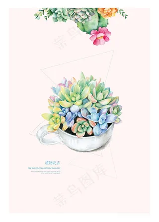 花卉植物盆栽插画