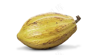 可可果实可可粉免抠 (30)