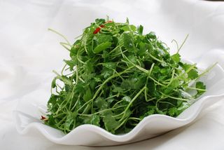 LCSC1470凉拌山野香25元