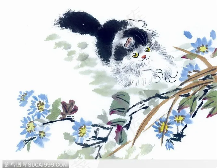 菊花旁的小猫