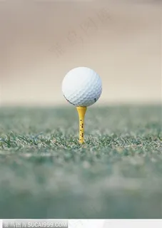 放在钉上的球03