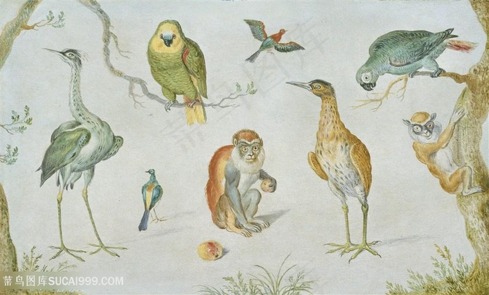 水彩动物鸟猴子风景画