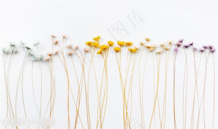 小碎花壁纸背景