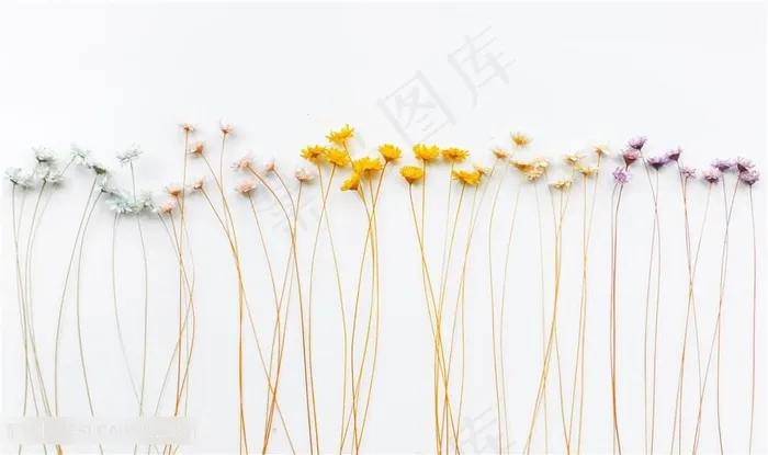 小碎花壁纸背景