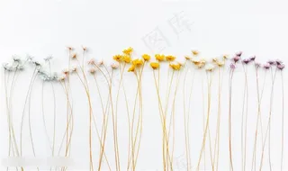 小碎花壁纸背景